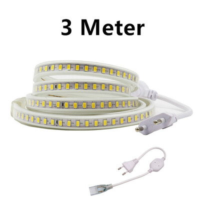 

220V 120Ledm Led Strip light 5730SMDSuper Bright 1m2m3m4m5m10m20m WhiteWarm White Waterproof Led Light With EU Plug