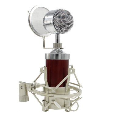 

Professional BM 8000 Sound Studio Recording Condenser Microphone with 35mm Plug Stand Holder for Personal Audio Recording KTV