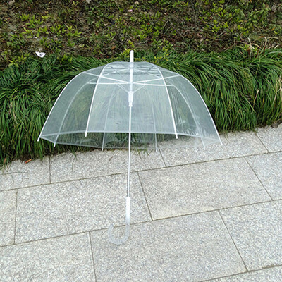 

Willow Tree Birdcage Clear Translucent Dome Umbrella Wedding