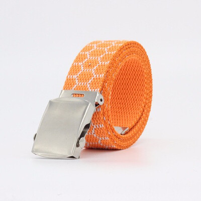 

Male And Female Teenager Fashion And Leisure Scrolling Buckle Stripe Canvas Belt