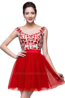 

A-Line Sleeveless Bateau Short Tulle Appliques Prom Dresses