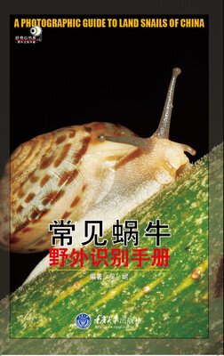 

好奇心书系·野外识别手册：常见蜗牛野外识别手册