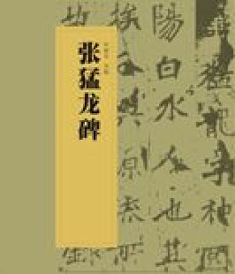 

中国书法经典碑帖导临丛书-张猛龙碑