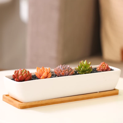 

Long Rectangle White Ceramic Planter Pot Cactus Succulent Planter with Drain Hole & Bamboo TrayPlants are not included