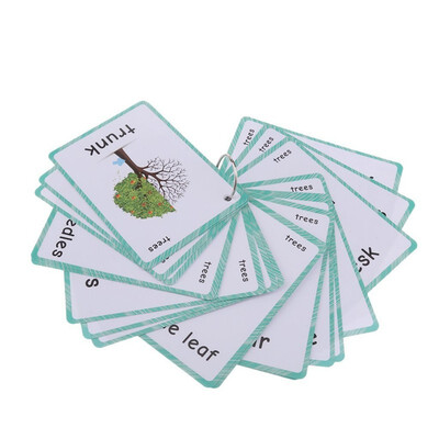

23 Trees Themes Flash Cards-English word learning card&pocket size flash card for Preschool children-English Vocabulary Cards