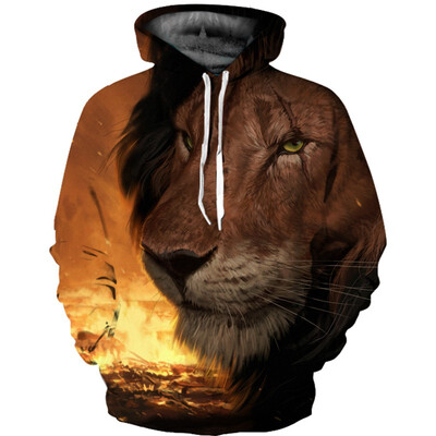 

QL-467 Mens Hoodie 3D Printed Women Pullover Sweater