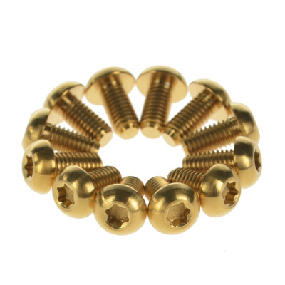 

Wanyifa Titanium Ti Bolts Torx M5x10 Bicycle Bike Disc Brake Cycle Rotor Screws Gr5 pack of 12