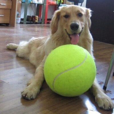 

95 Inches Dog Tennis Ball Giant Pet Toys for Dog Chewing Toy Signature Mega Jumbo Kids Toy Ball For Dog Training Supplies