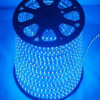 

Odinlighting Led Light Strip Waterproof Led Strip Light 120 ledm Warm White Blue 5m set Free Shipping