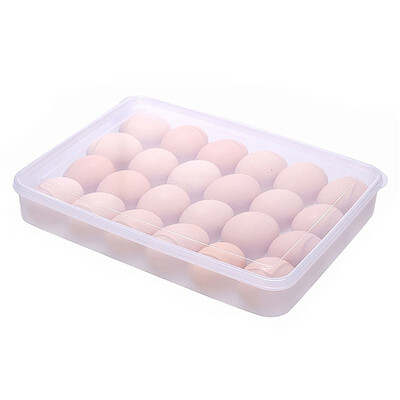 

UpperX Covered Egg Holder for Refrigerator 24 Eggs Clear Plasticwhite