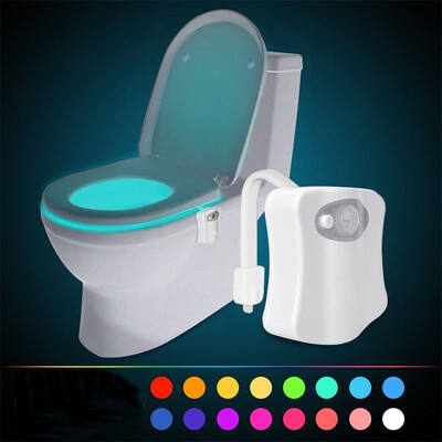 

816 Color LED Motion Sensing Automatic Bathroom Toilet Night Motion Activated Lamp