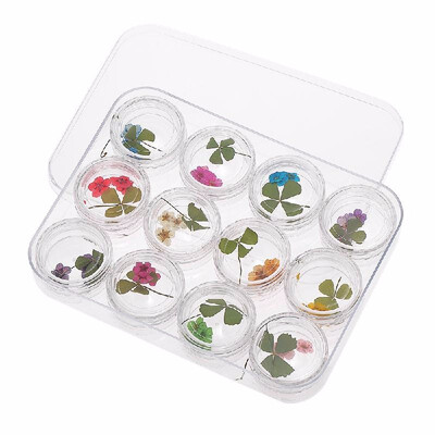 

3D Real Dried Flower Decorations For UV Gel 12 Grids Nail Art Tips Manicure Nail Stickers 3D Nail Art Beauty