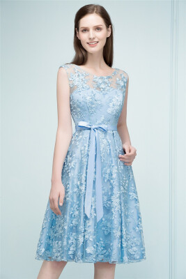 

A-Line Sleeveless Knee Length Appliques Homecoming Dresses With Robbin Sash