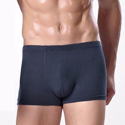 

Fashion New Mens Boxer Briefs Bamboo Fiber Modal Pants