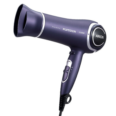 

FAG FLYCO hair dryer home FH6620 high power hair dryer negative ion 2200W