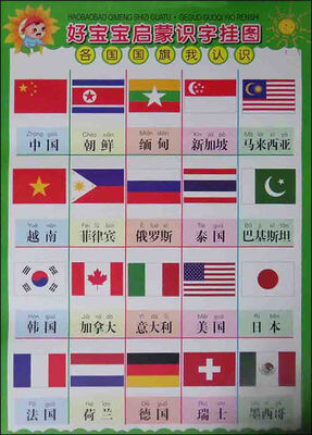 

好宝宝启蒙识字挂图各国国旗我认识