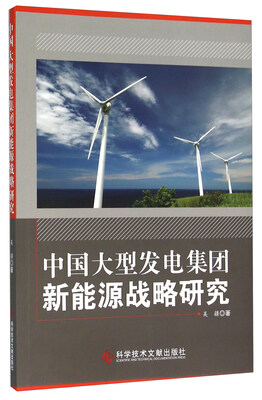 

中国大型发电集团新能源战略研究