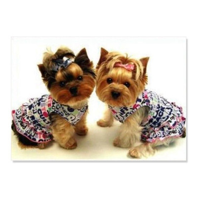 

UpperX DIY 5D diamond embroidery dog animal painting resin drill cross stitch home decoration