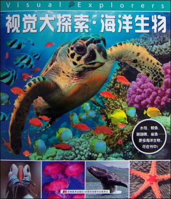 

视觉大探索海洋生物