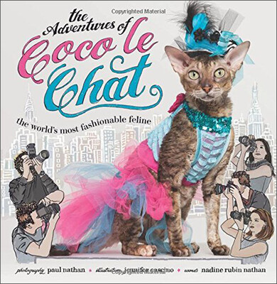 

The Adventures Of Coco Le Chat The WorldS Most Fashionable Feline
