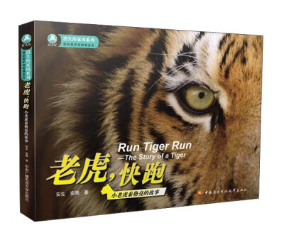

老虎，快跑