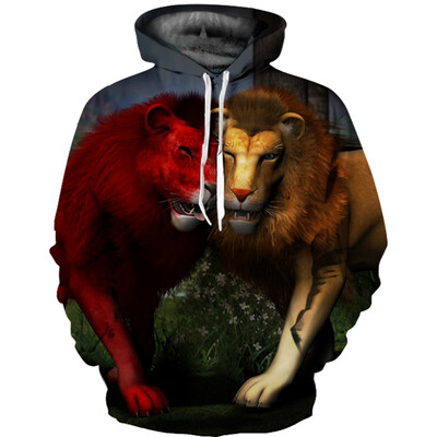 

QL-483 Mens Hoodie 3D Printed Women Pullover Sweater