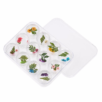 

3D Real Dried Flower Decorations For UV Gel 12 Grids Nail Art Tips Manicure Nail Stickers 3D Nail Art Beauty