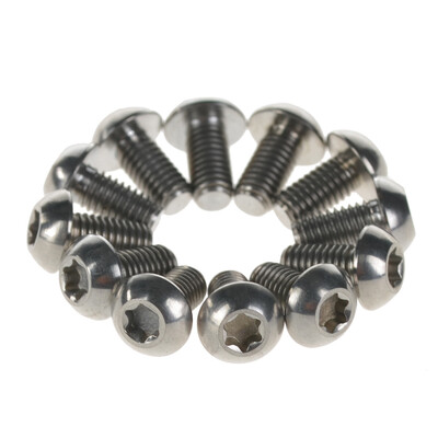 

Wanyifa Titanium Ti Bolts Torx M5x10 Bicycle Bike Disc Brake Cycle Rotor Screws Gr5 pack of 12