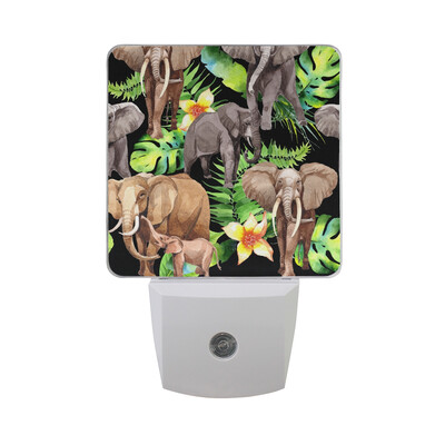

ALAZA LED Night Light With Smart Dusk To Dawn SensorExotic Floral Frame1 Plug In Night Light