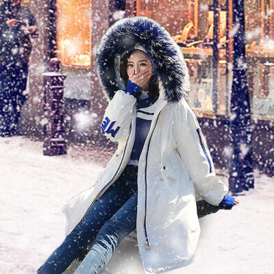 

The new Korean winter dress of 2018 is a full-length thickened hooded genuine raccoon fur collar lady down jacket wholesale