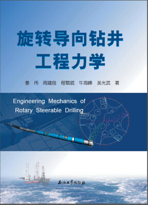 

旋转导向钻井工程力学