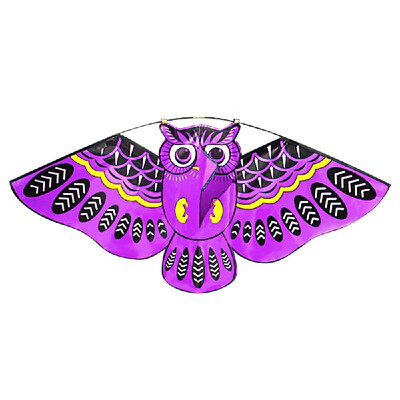 

43 x 20 Inch Colorful Cartoon Owl Flying Kite with Kite Line Outdoor Toy for