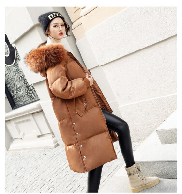 

Big raccoon fur collar in the long down jacket female autumn&winter 2018 new academy style thickened white duck down