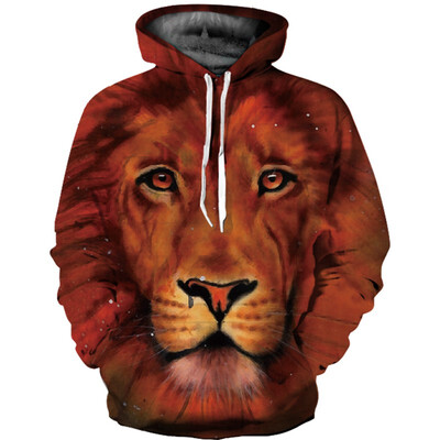 

QL-568 Mens Hoodie 3D Printed Women Pullover Sweater