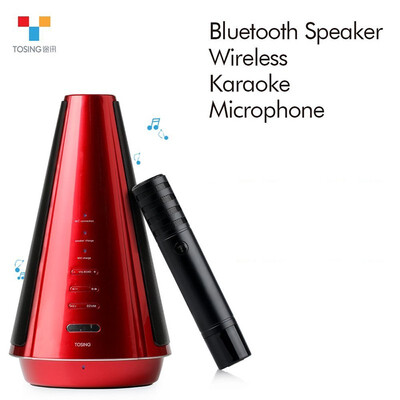 

TOSING T08 Wireless Karaoke Microphone Blue tooth Speaker Separately Designed 3D Stereo 20W Audio for Meetings&Small Meetings