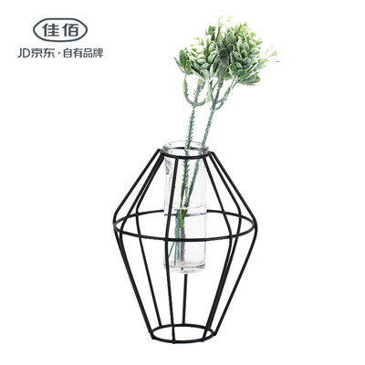 

Jiayi wrought iron test tube vase Nordic style metal ornaments green water hydroponics plant vase diameter 11cm height 14cm shuttle
