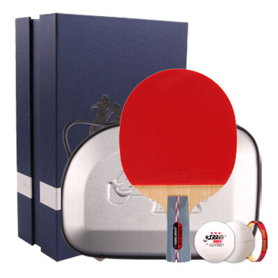 

Double Happiness DHS table tennis grid game with P103 with network height