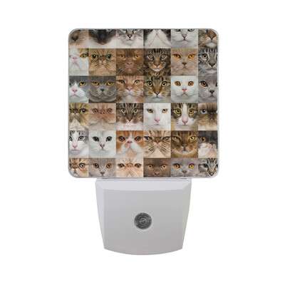 

ALAZA LED Night Light With Smart Dusk To Dawn SensorBananas Pattern Different Spheres Plug In Night Light