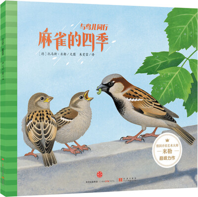 

与鸟儿同行麻雀的四季