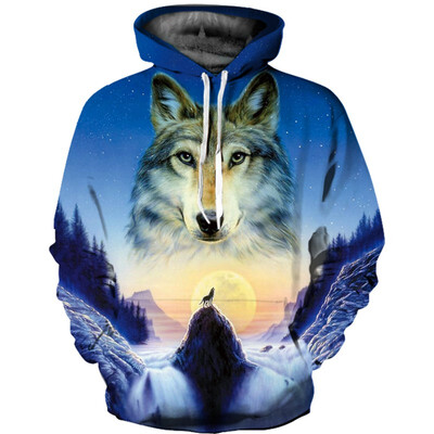

Mens Hoodie 3D Printed Women Pullover Sweater