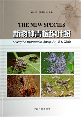 

新物种青檀绵叶蚜
