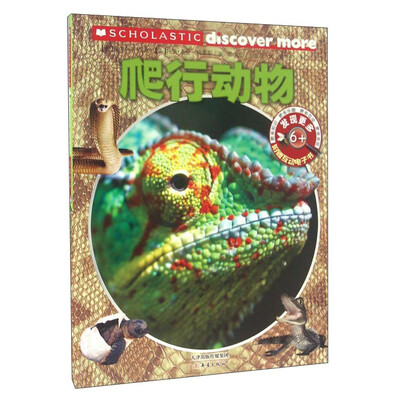 

发现更多·6+：爬行动物
