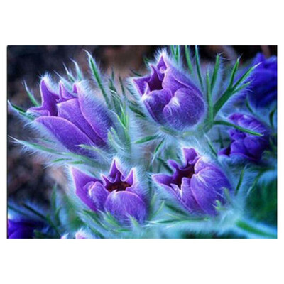 

UpperX DIY Diamond Painting Set Diamond Embroidery Whole Cross Stitch Purple Tulip