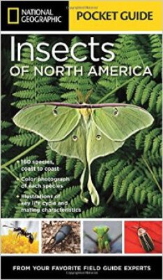 

National Geographic Pocket Guide to Insects of N