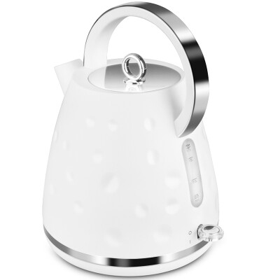 Thermostatic electric kettle 2