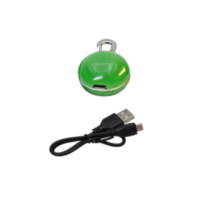 

Yeshold Decorating Pet Nightlights Warning Recharging Pendant