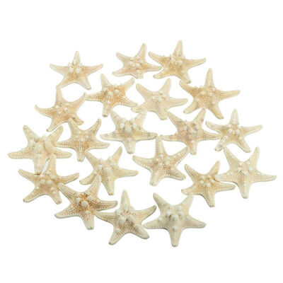 

UpperX 20pcs White Bleached Knobby Starfish Wedding Display Seashell Craft Decor