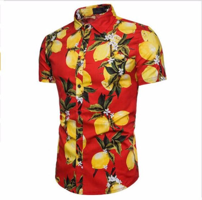 

2018 Brand New Summer Holiday Mens Floral Print Shirts Tops Casual Short Sleeve Hawaiian Style Beachwear Shirt