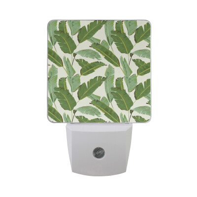 

ALAZA LED Night Light With Smart Dusk To Dawn SensorExotic Floral Frame Plug In Night Light