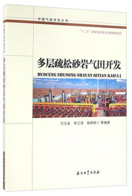 

多层疏松砂岩气田开发